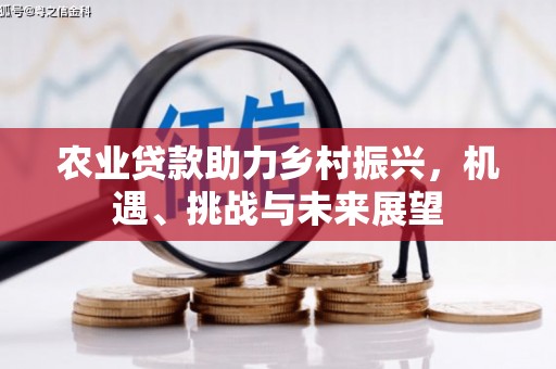 嵩县农业贷款助力乡村振兴，机遇、挑战与未来展望