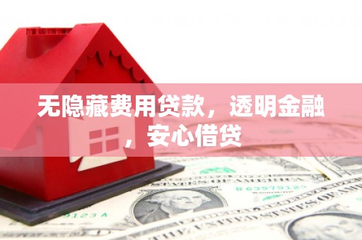 嵩县无隐藏费用贷款，透明金融，安心借贷