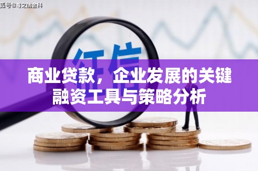 嵩县商业贷款，企业发展的关键融资工具与策略分析