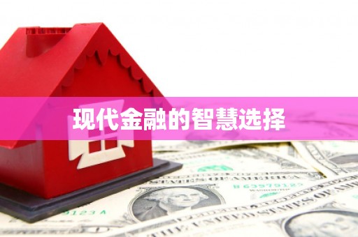 嵩县现代金融的智慧选择