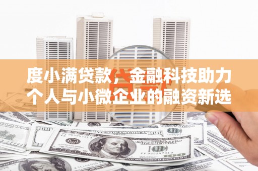嵩县度小满贷款，金融科技助力个人与小微企业的融资新选择