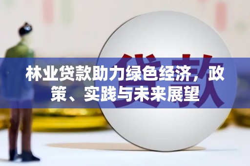 嵩县林业贷款助力绿色经济，政策、实践与未来展望
