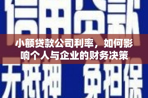 嵩县小额贷款公司利率，如何影响个人与企业的财务决策
