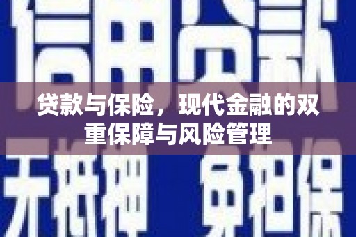 嵩县贷款与保险，现代金融的双重保障与风险管理
