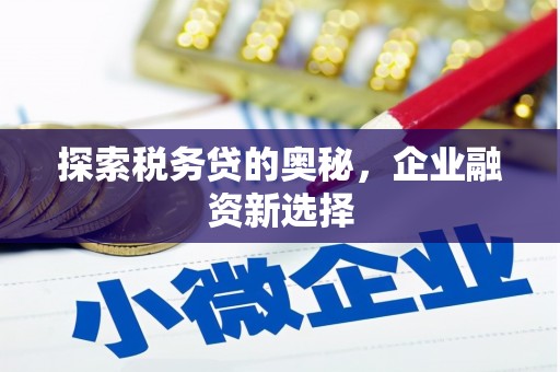 嵩县探索税务贷的奥秘，企业融资新选择