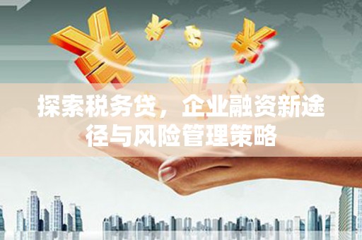 嵩县探索税务贷，企业融资新途径与风险管理策略