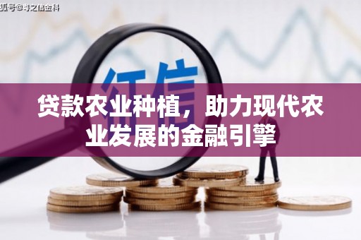 嵩县贷款农业种植，助力现代农业发展的金融引擎