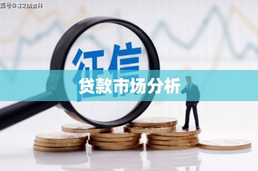 嵩县贷款市场分析