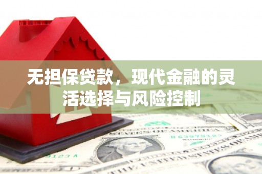 嵩县无担保贷款，现代金融的灵活选择与风险控制