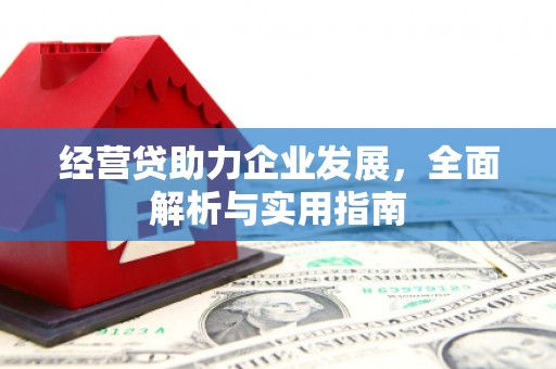 嵩县经营贷助力企业发展，全面解析与实用指南