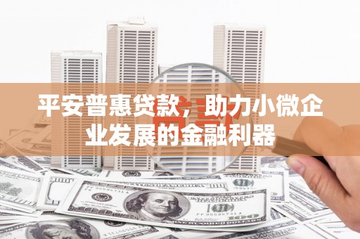 嵩县平安普惠贷款，助力小微企业发展的金融利器