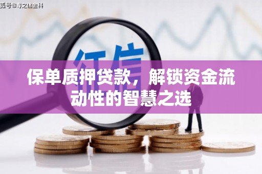 嵩县保单质押贷款，解锁资金流动性的智慧之选