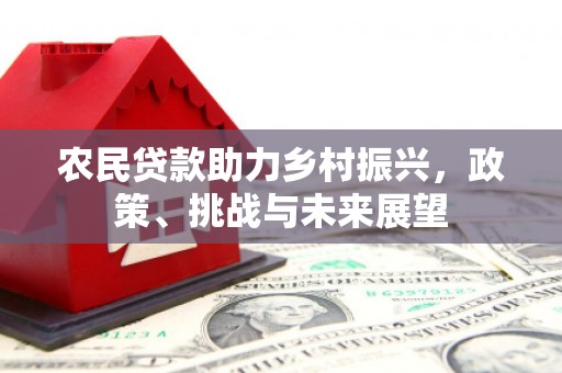嵩县农民贷款助力乡村振兴，政策、挑战与未来展望