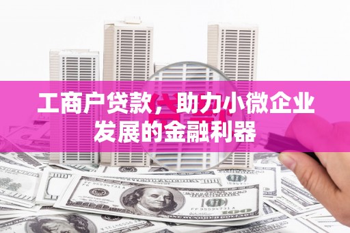嵩县工商户贷款，助力小微企业发展的金融利器
