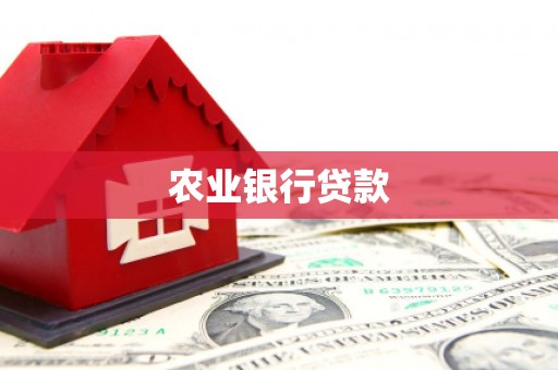 嵩县农业银行贷款