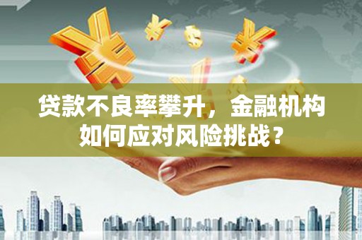 嵩县贷款不良率攀升，金融机构如何应对风险挑战？