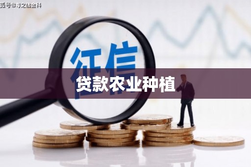 嵩县贷款农业种植