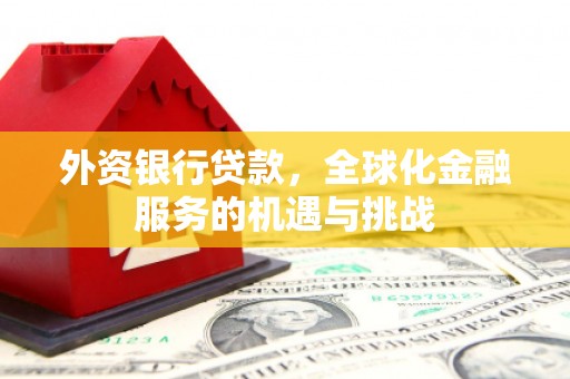 嵩县外资银行贷款，全球化金融服务的机遇与挑战