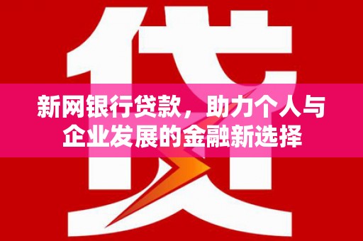 嵩县新网银行贷款，助力个人与企业发展的金融新选择
