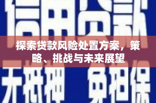 嵩县探索贷款风险处置方案，策略、挑战与未来展望