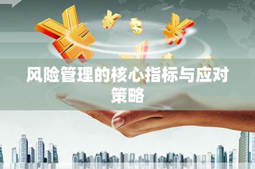 嵩县风险管理的核心指标与应对策略