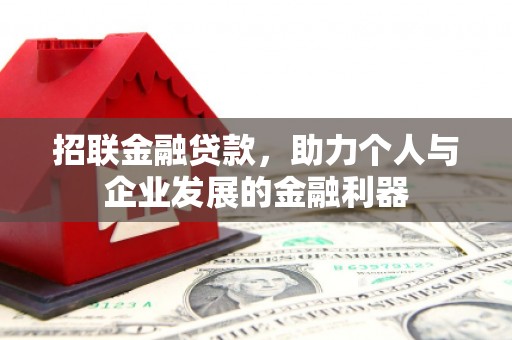 嵩县招联金融贷款，助力个人与企业发展的金融利器
