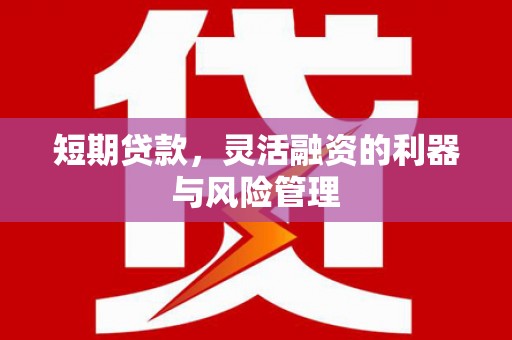 嵩县短期贷款，灵活融资的利器与风险管理