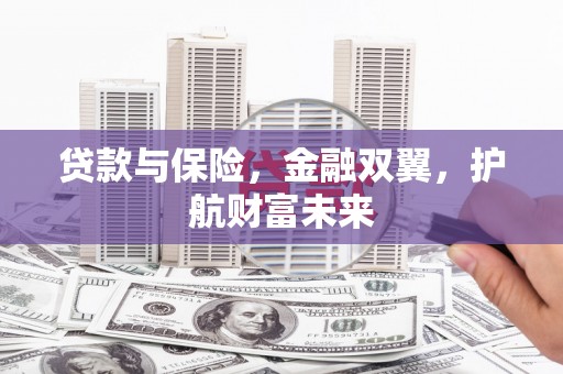 嵩县贷款与保险，金融双翼，护航财富未来