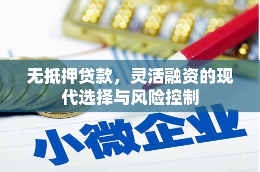 嵩县无抵押贷款，灵活融资的现代选择与风险控制