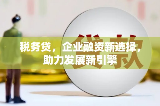 嵩县税务贷，企业融资新选择，助力发展新引擎