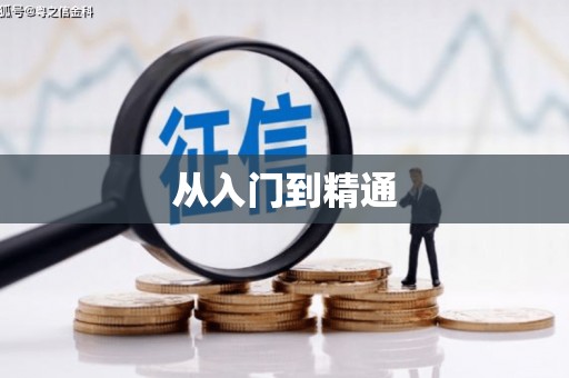 嵩县从入门到精通