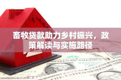 嵩县畜牧贷款助力乡村振兴，政策解读与实施路径