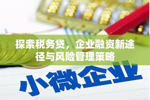 嵩县探索税务贷，企业融资新途径与风险管理策略