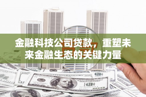 嵩县金融科技公司贷款，重塑未来金融生态的关键力量