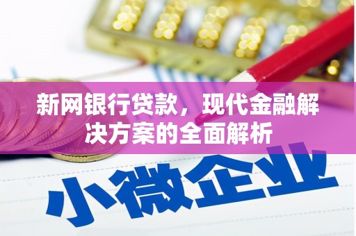 嵩县新网银行贷款，现代金融解决方案的全面解析