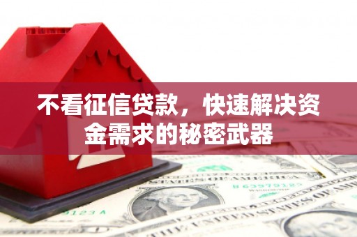 嵩县不看征信贷款，快速解决资金需求的秘密武器