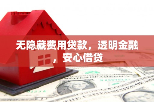 嵩县无隐藏费用贷款，透明金融，安心借贷