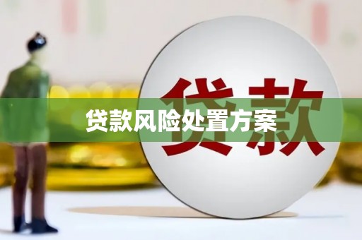 嵩县贷款风险处置方案