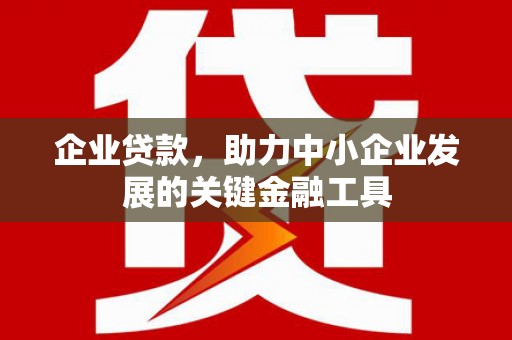 嵩县企业贷款，助力中小企业发展的关键金融工具