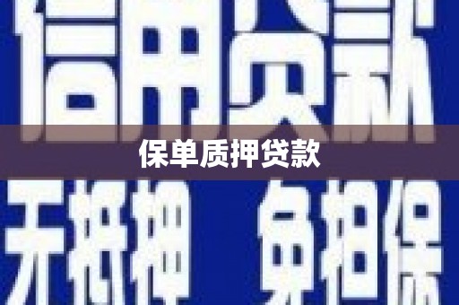 嵩县保单质押贷款
