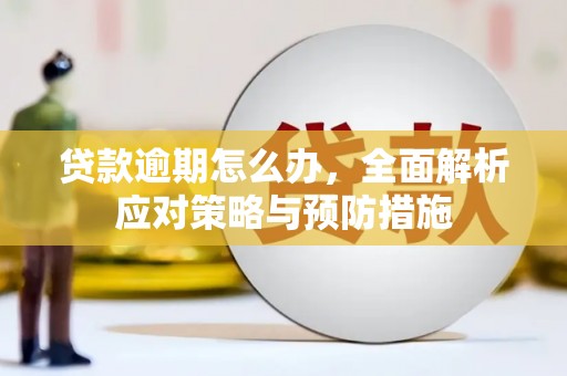 嵩县贷款逾期怎么办，全面解析应对策略与预防措施