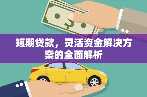 嵩县短期贷款，灵活资金解决方案的全面解析