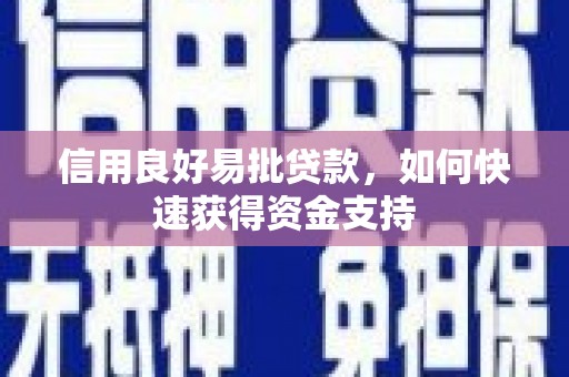 嵩县信用良好易批贷款，如何快速获得资金支持