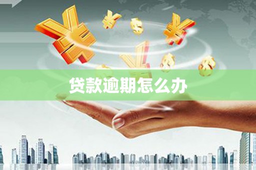 嵩县贷款逾期怎么办