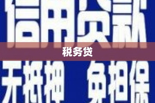 嵩县税务贷