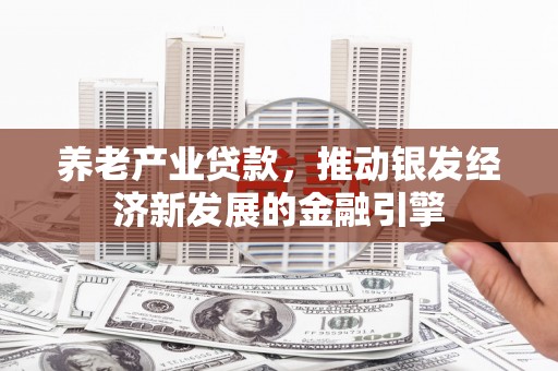 嵩县养老产业贷款，推动银发经济新发展的金融引擎