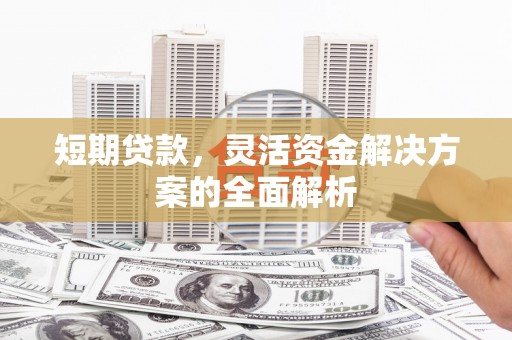 嵩县短期贷款，灵活资金解决方案的全面解析