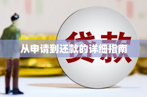 嵩县从申请到还款的详细指南
