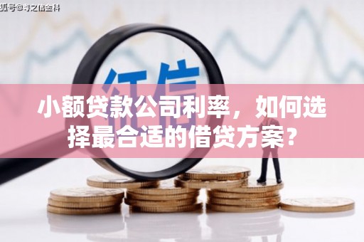 嵩县小额贷款公司利率，如何选择最合适的借贷方案？