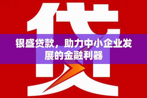 嵩县银盛贷款，助力中小企业发展的金融利器